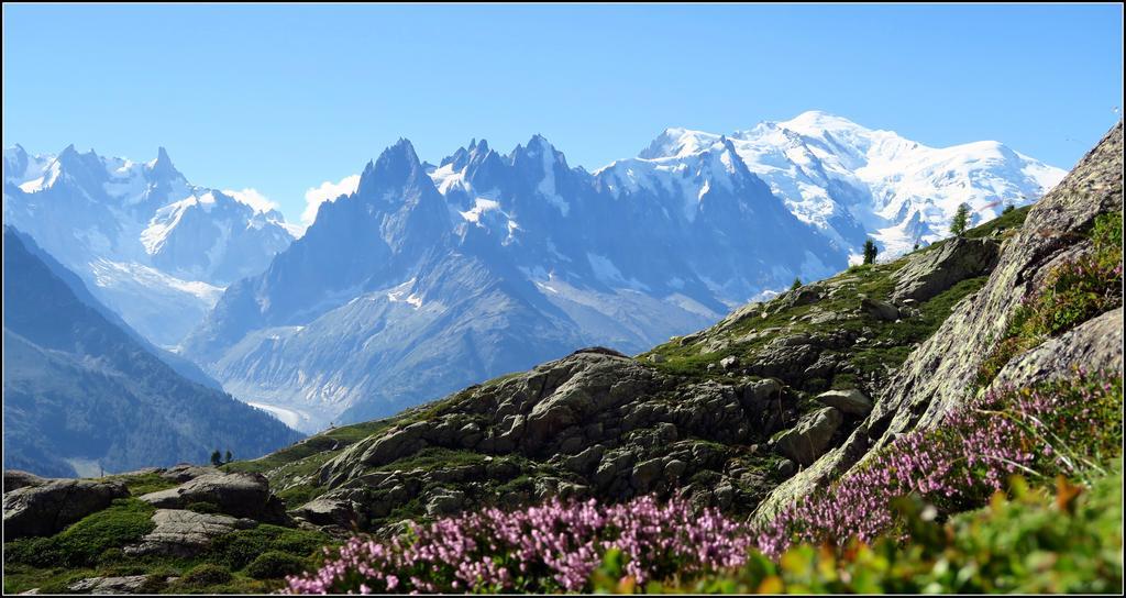 Le Dahu Hotel Chamonix Mont Blanc Exterior foto